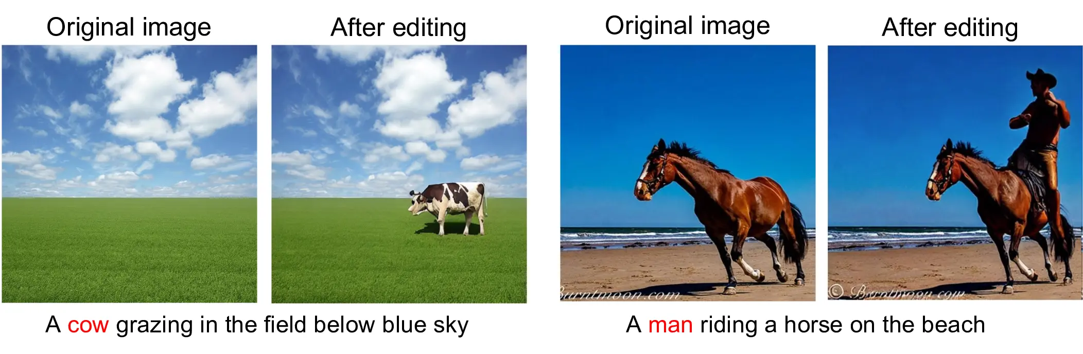 Image editing application